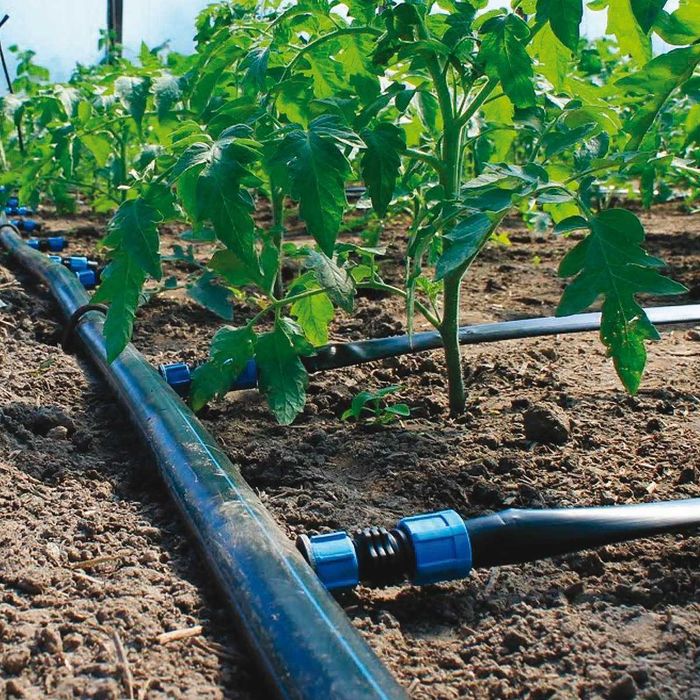 Капельный полив, капельная лента