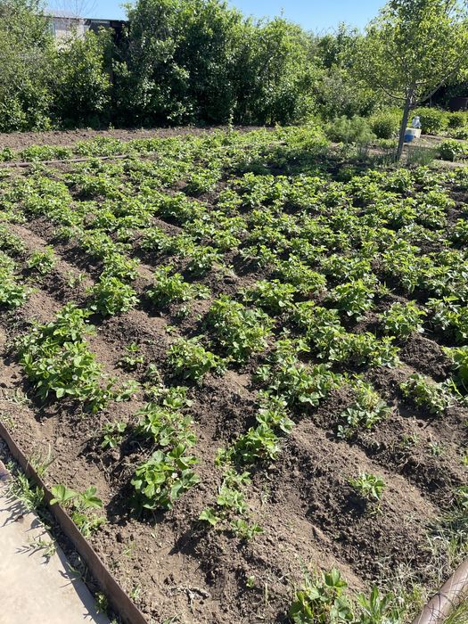 Продам дачу, домик 2 этажа