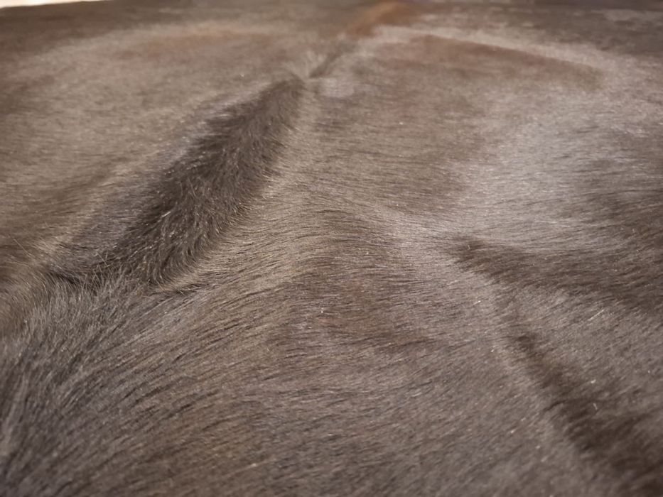 Продавам килим от естествена телешка кожа