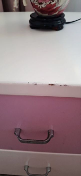 Детско обзавеждане