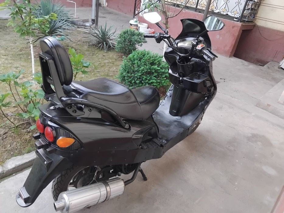 Irbis sukutir sirochna sotiladi