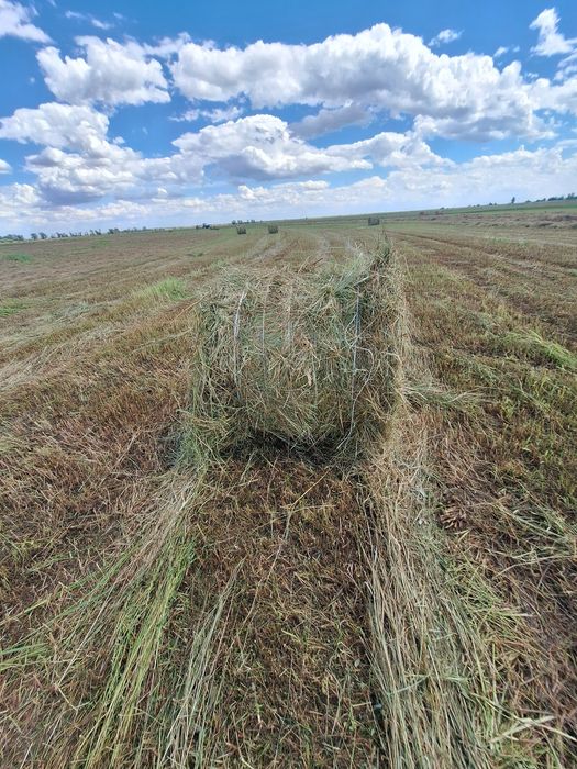 Продам рулоны 200кг