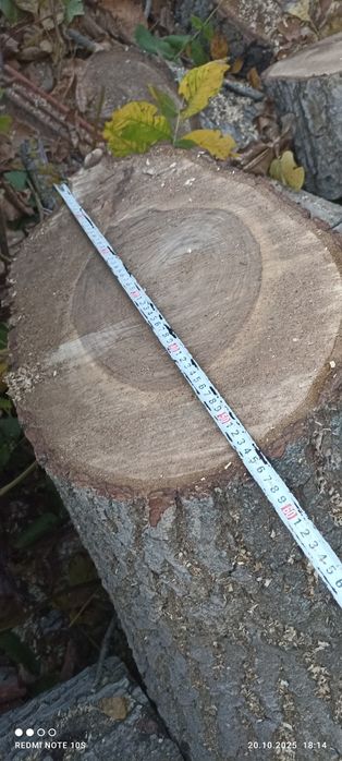 Орехов материал  .