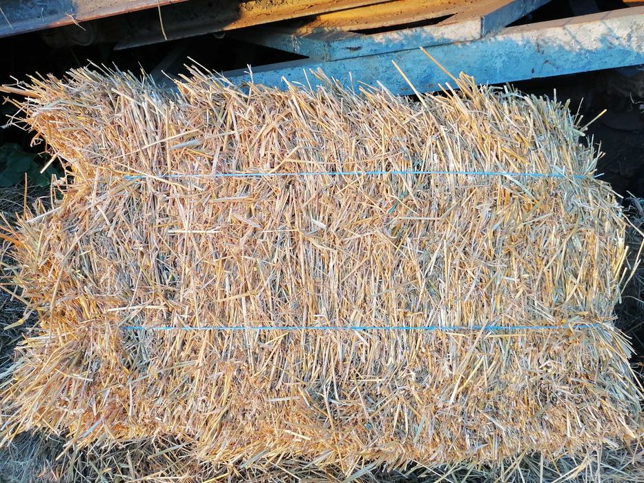 Продавам Бали пшенична слама
