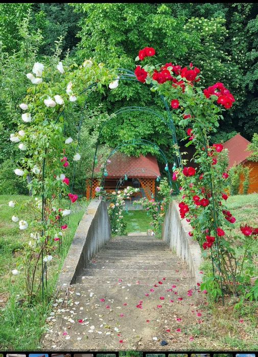 Casa Leamna de Jos 2000 m2 teren