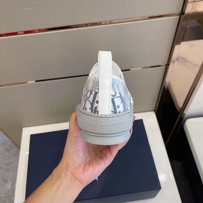 CD B23 Low Top Oblique White/Gray