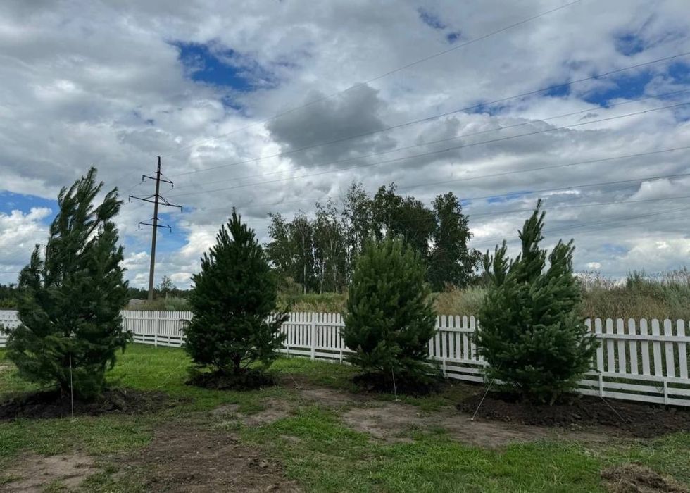 Ландшафтный дизайн