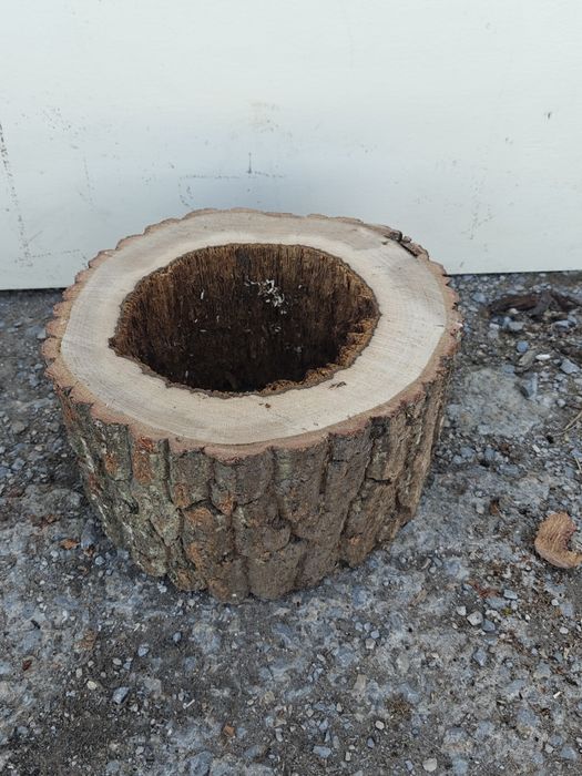 Саксии - дървени хралупи