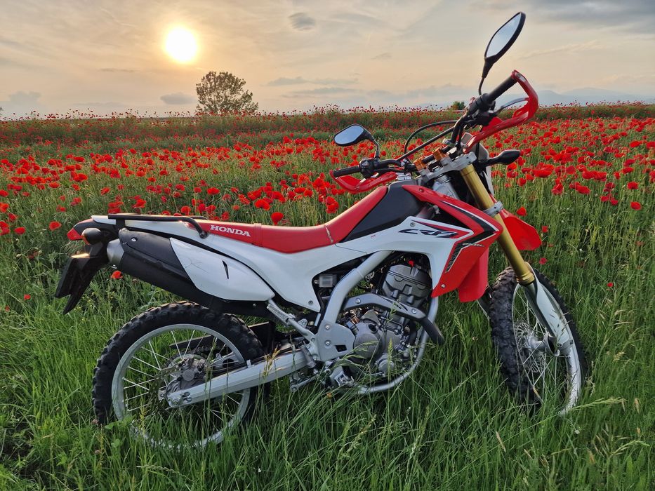 HONDA CRF 250L Dual Sport