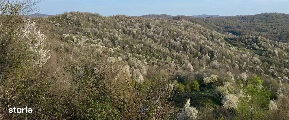 Teren + Casa De Vanzare Prahova| Provita De Sus | Breaza