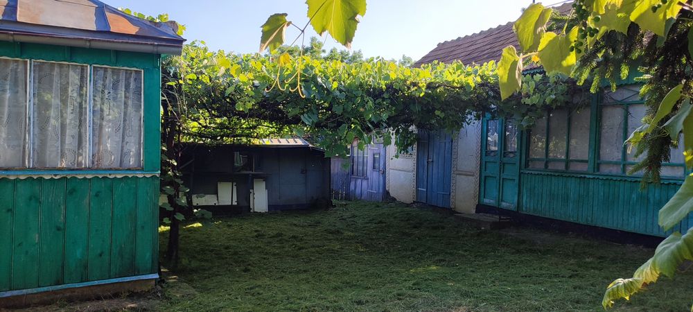 Vand casa, anexe si gradina in satul Dolina