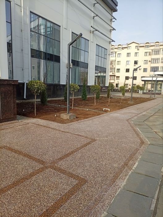 Gazon ruloni uruğ xam sepamiz landshaft dizayni xizmatlari