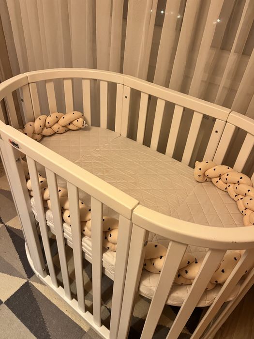 Patut rotund/oval evolutiv Bragadiru If