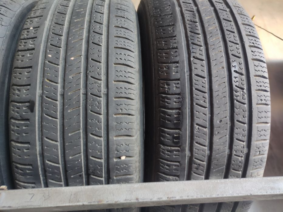 Kuho solus holati zor