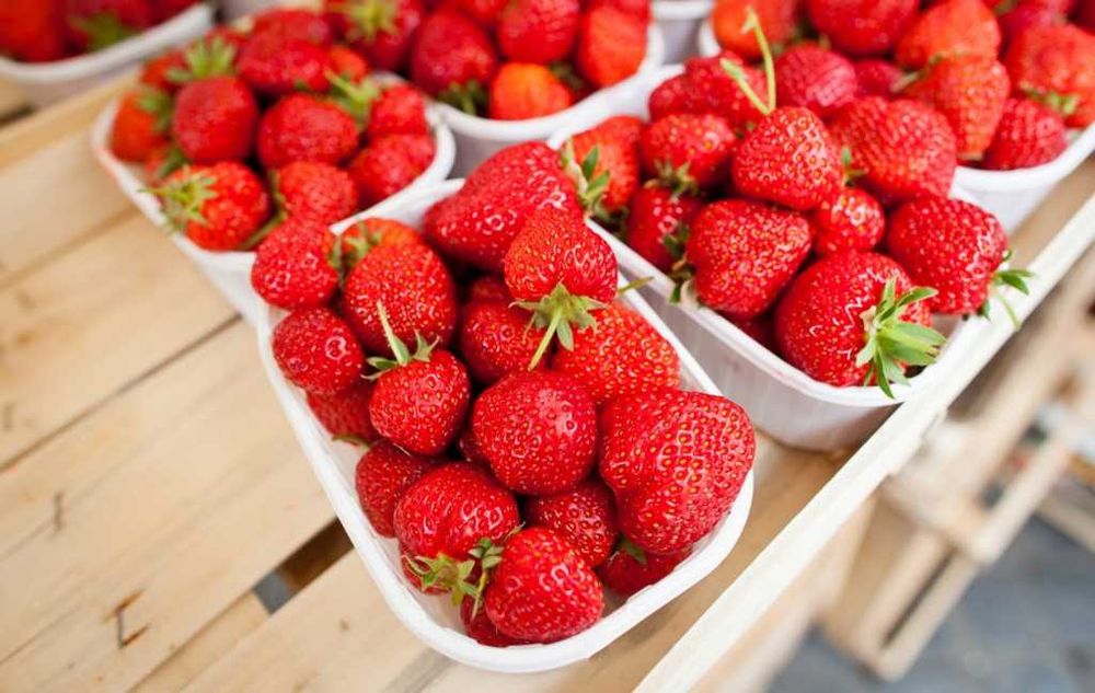 Уникален ЦЕЛОГОДИШЕН Разсад Корени - Ягоди и Малини