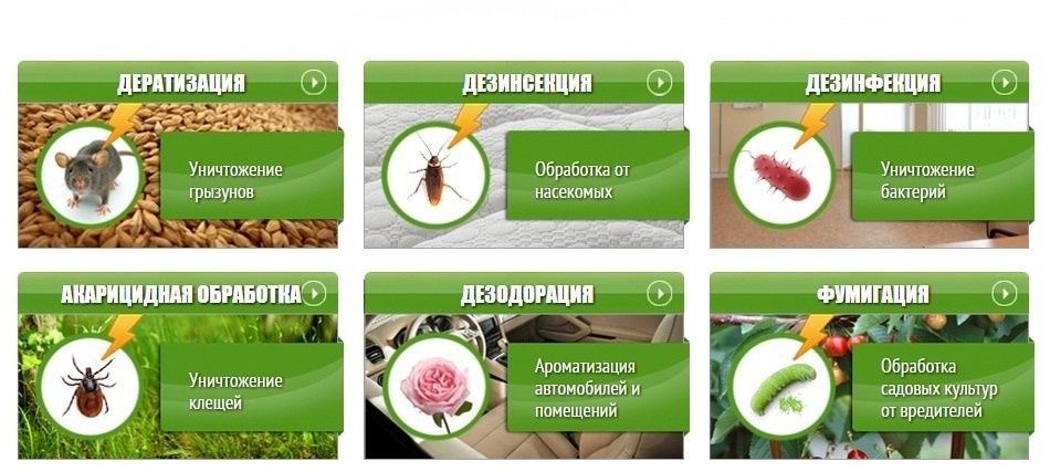 Дезинфекция в Ташкенте (Гос.Лицензия)24/7