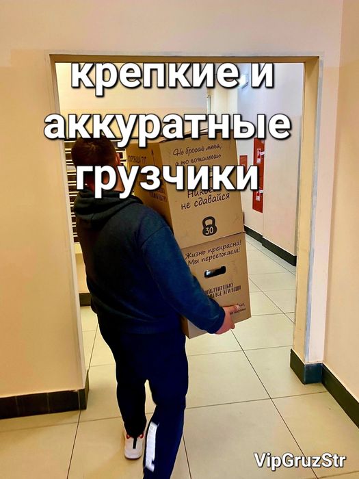 Опытные Грузчики