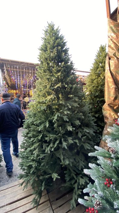 Archa, yangi yil archasi