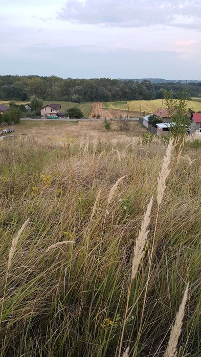 Teren intravilan/extravilan si paduri in Fartatesti, judetul Valcea