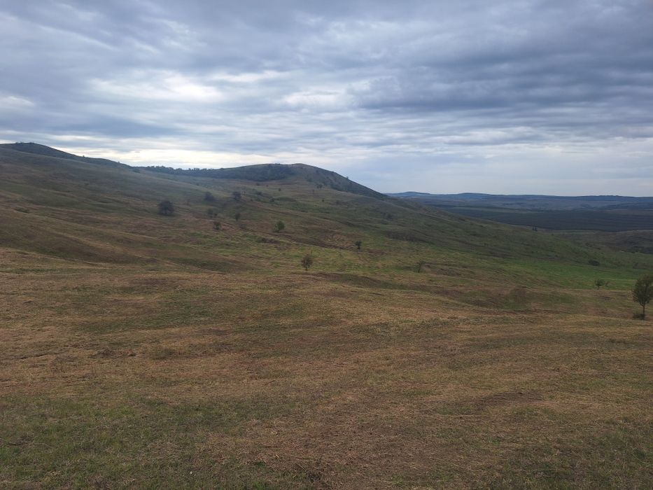 Servicii de curatare și întreținere pășuni