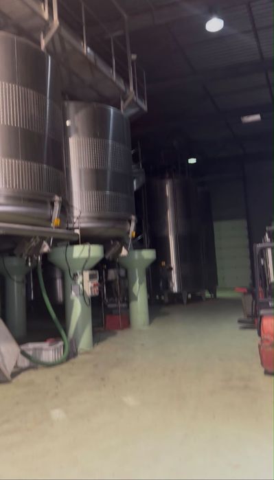 Vin Vrac sau îmbuteliat Bag-In-Box
