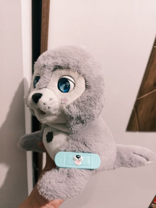 Silver,foca interactiva din plus