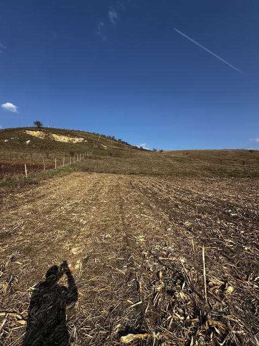 Vand sau schimb Teren extravilan 9000 mp,Corușu, Baciu acces drum apa curgatoare