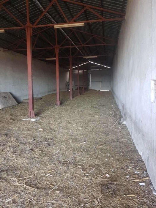 Продава се Промишлена сграда в с. Баячево, Област Търговище - 7260 кв.м за 33 €/кв.м - Снимка #4