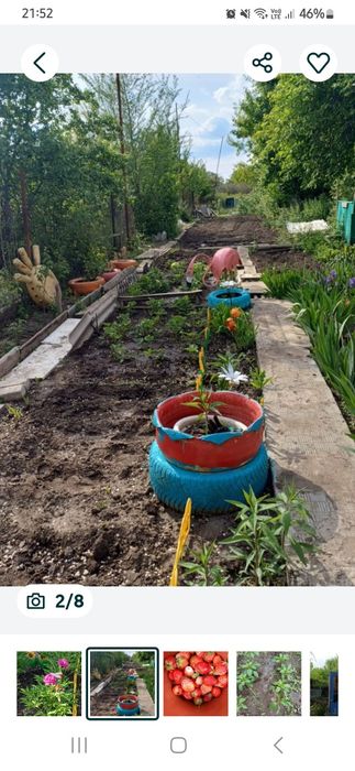 Продаю квартиру МСО (статус квартиры) и дачу на Кривом озере