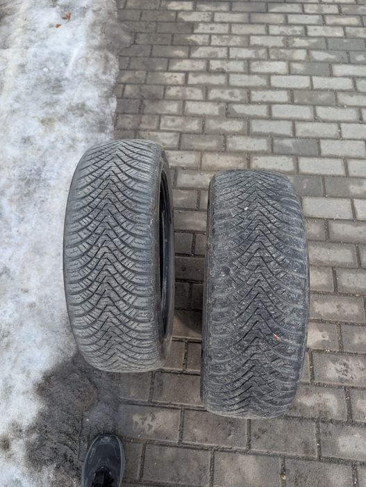 Cauciucuri All sesson Laufen 195/55/R16 DOT 2024