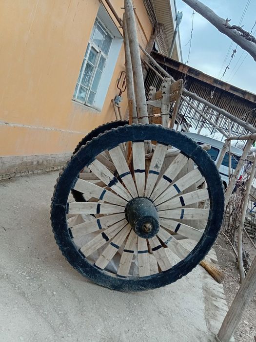 От арава сотилади 130 йилдан ошган