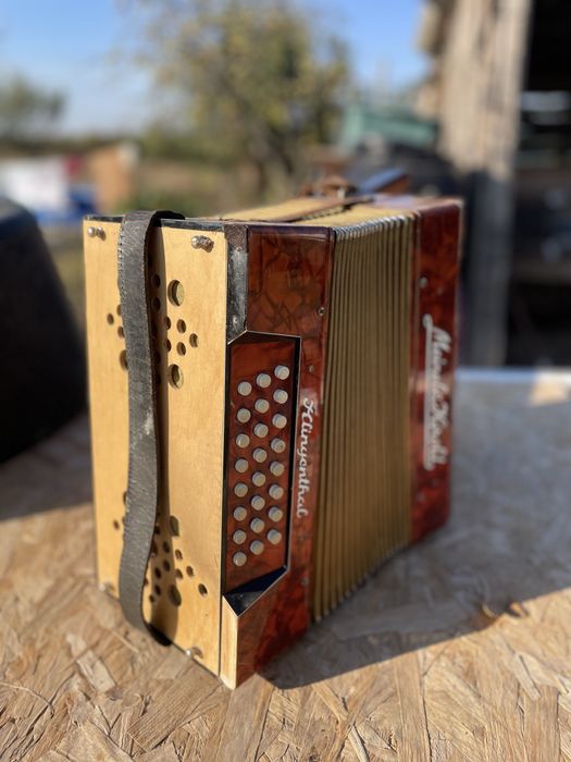 Acordeon vintige