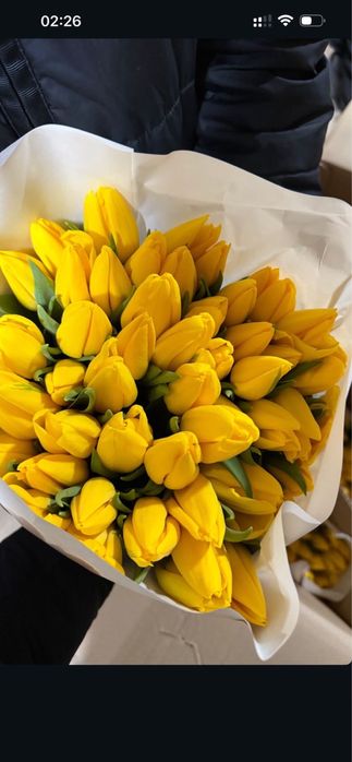 Тюльпаны 850 тг оптом