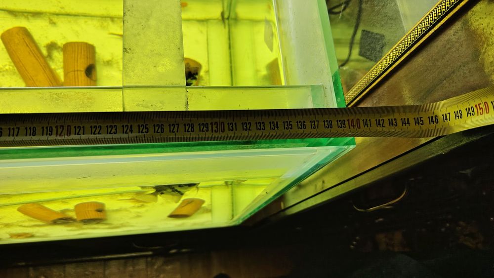 Akvarium sotiladi. 3 million som.