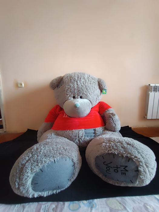 Teddy sptiladi srochna