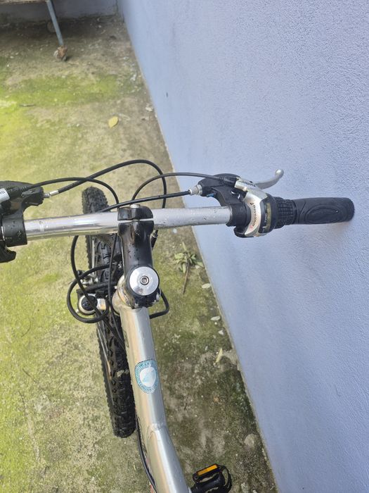 Bicicleta bergamot dragsta