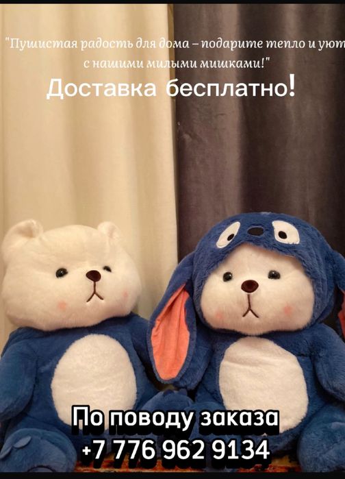 Мишки 3999 тенге арзан