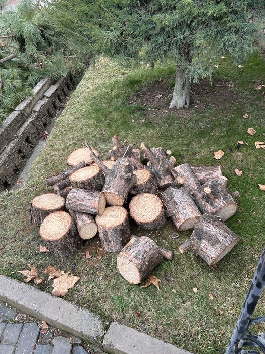 Ағаш отын драва