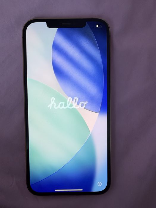 Iphone 12 Pro Max