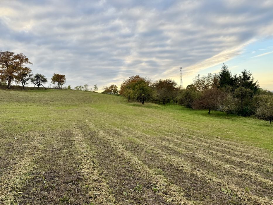 Teren intravilan de vânzare Cojocna