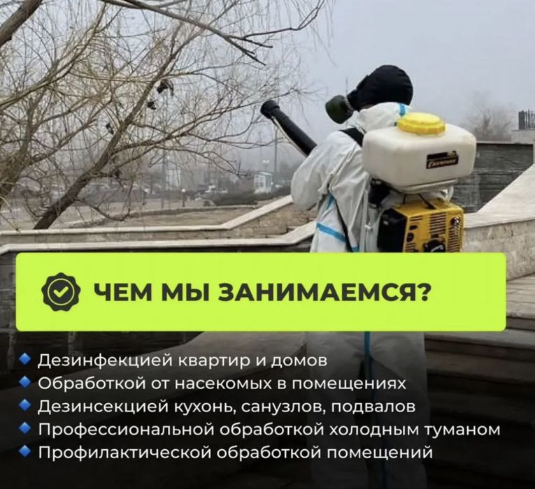 Дезинфекция помещении от вредителей