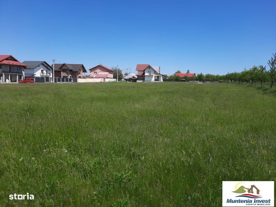 Teren 850 mp,Albota(Morlovani)