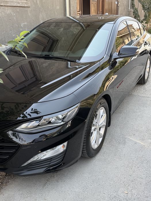 Malibu XL 2023 tozza