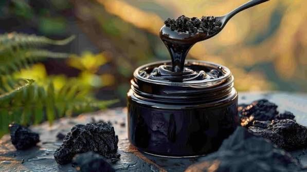 shilajit pur premium