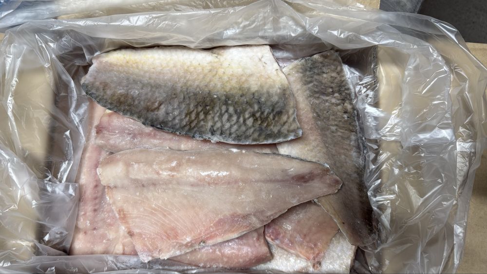 Филе судак сазан Вко Зайсан