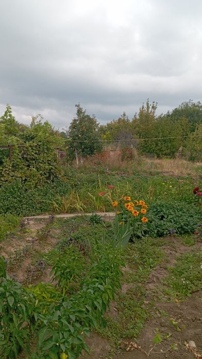Продам дачу в районе  Телецентра