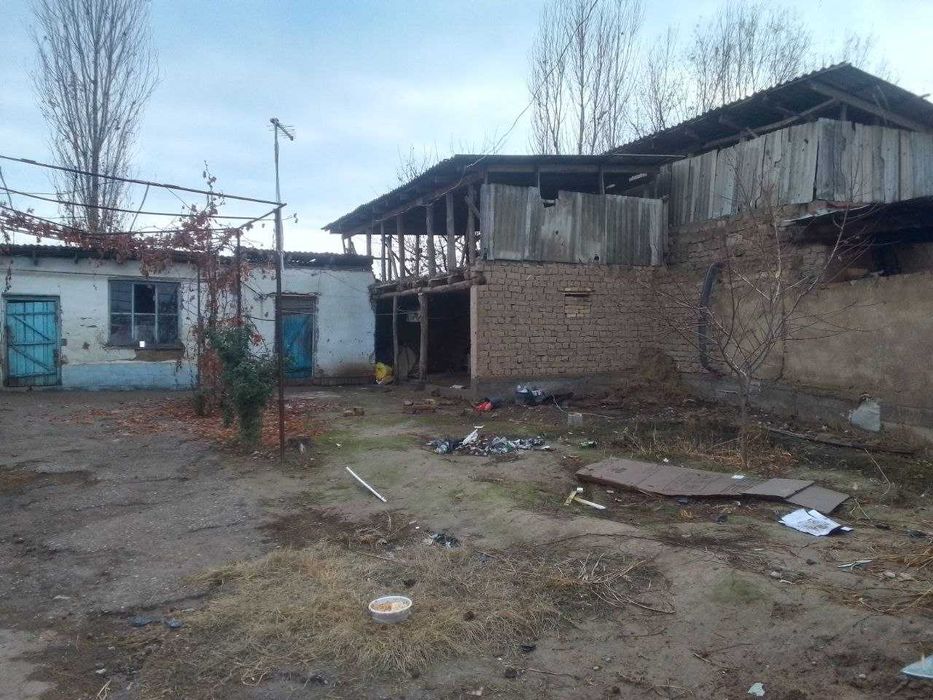 Яангиол тумани Михалбкада 5.5 сотихли Уи сотилади