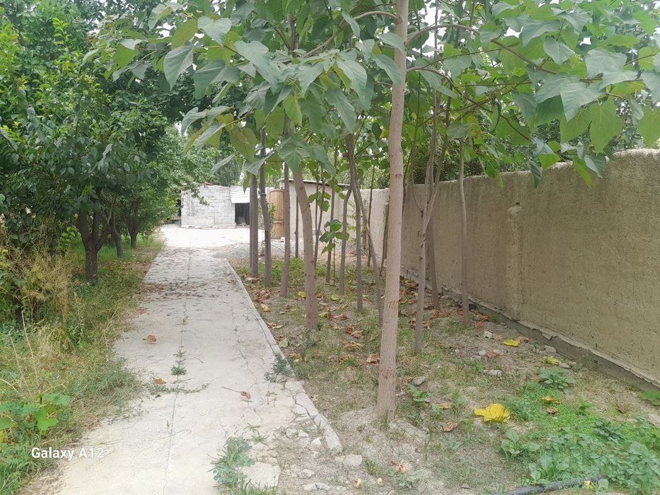 Бу́ш эр сотилади