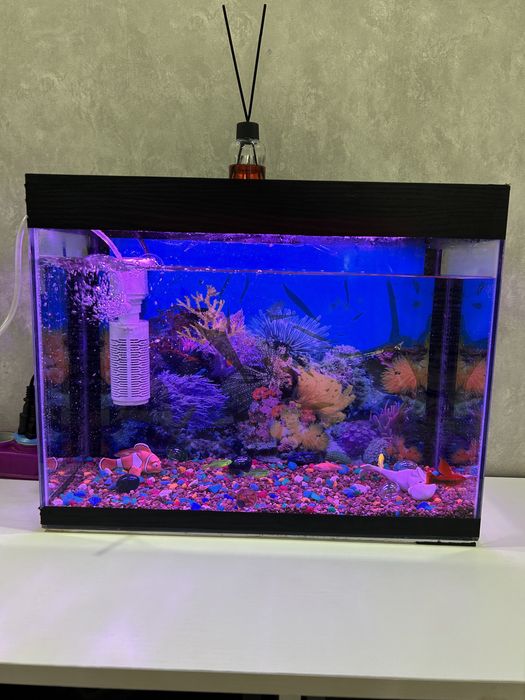 Акваруим 20л с рыбками