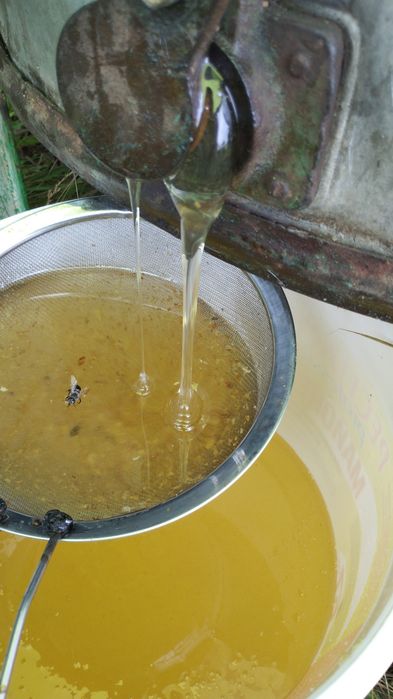 Продам мёд донниковый и разнотравье